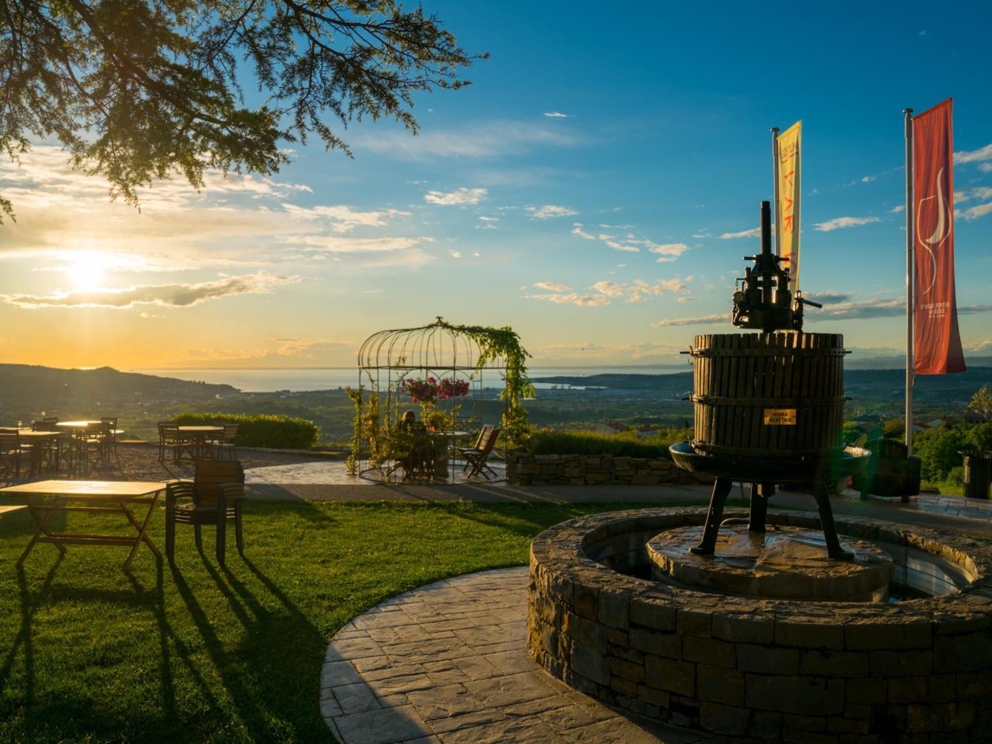 Wine Paradise - Glamping Resort Marezige Esterno foto