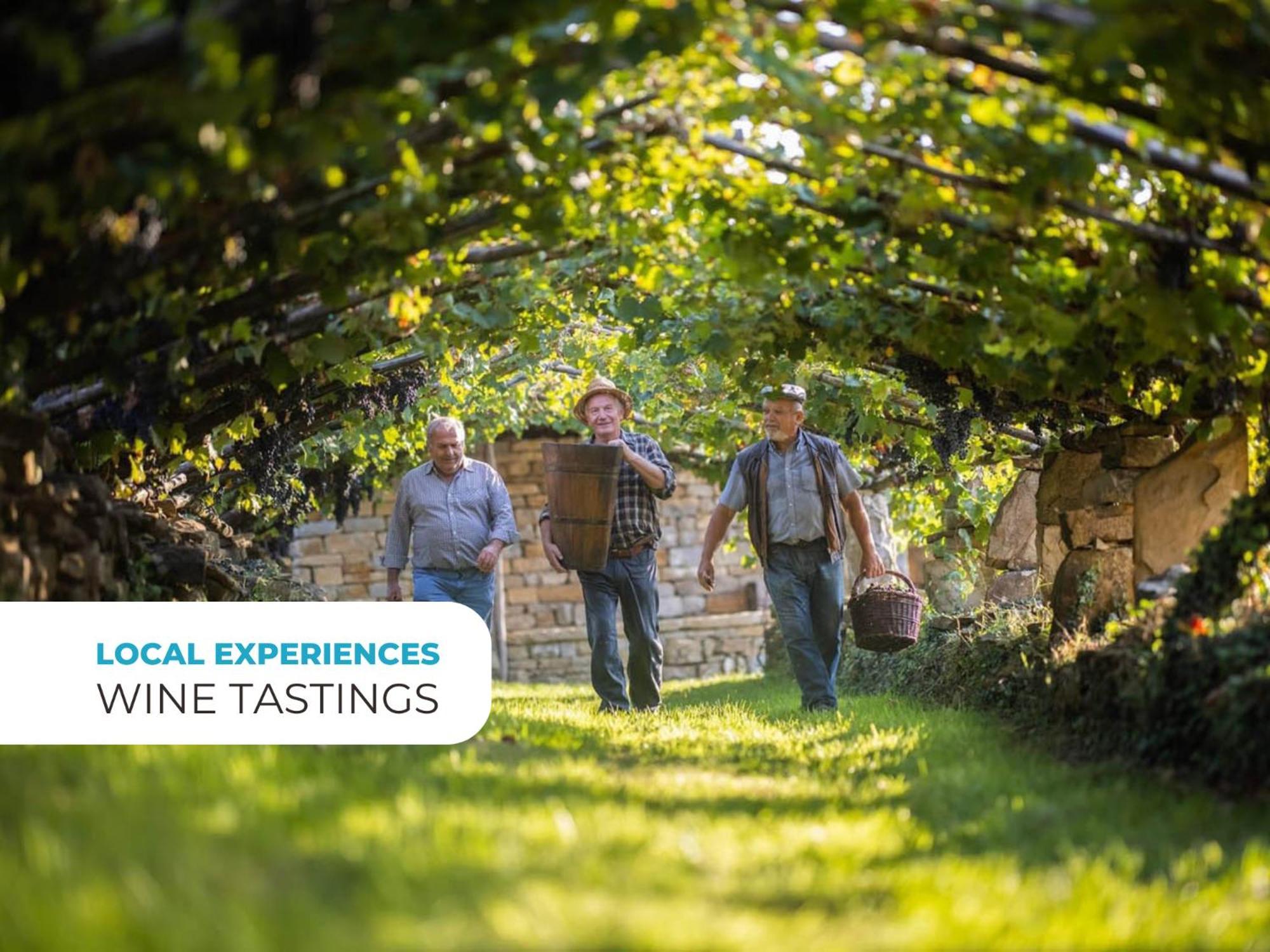 Wine Paradise - Glamping Resort Marezige Esterno foto