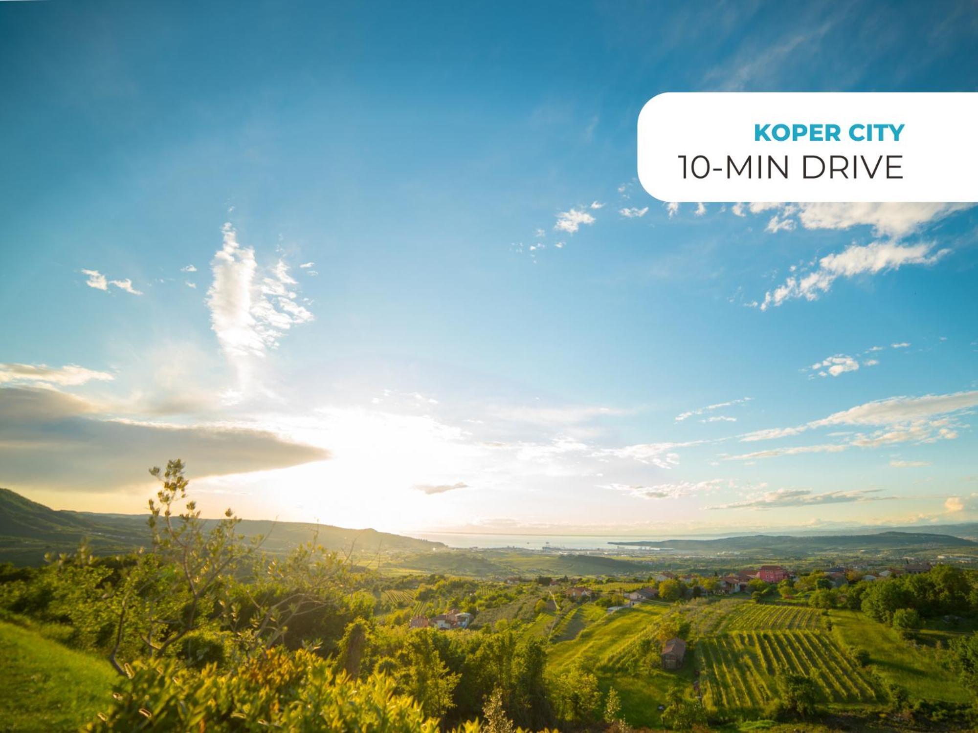 Wine Paradise - Glamping Resort Marezige Esterno foto
